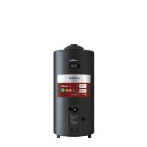 Termotanque Multigas Family Black TTS-75 L Señorial